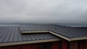 Best Roof Moss and Algae Removal  in Buellton, CA